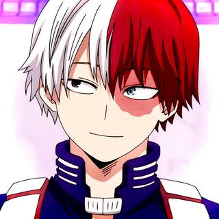 Shoto todoroki mha