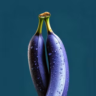 Purple bananas 