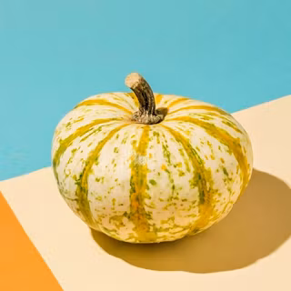 Pumpkin