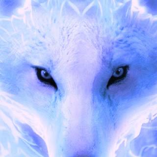 blue wolf