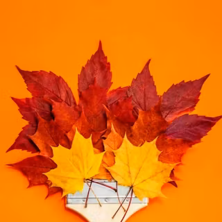 Fall leaves painting brush