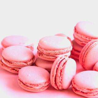Pink/Dessert/Macaroons