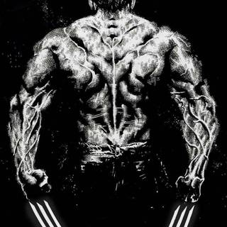 Wolverine 4K Phone Wallpaper 