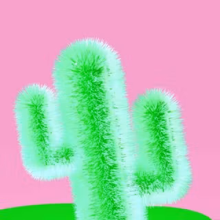 Lime green cactus