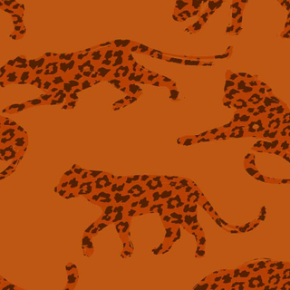 cheetah wallpaper