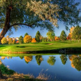 Beautiful Pond Wallpaper