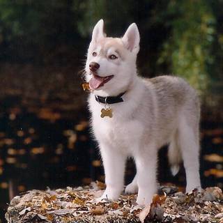 WhEn I lOcK iN oN bEiNg CuTe