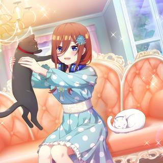 The Quintessential Quintuplets 