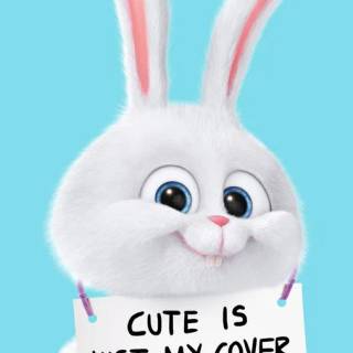 cute is just my cover/snowball/secret life of pets