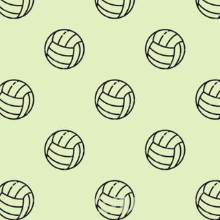 aesthetic volleyball