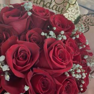 look isabella nd ayden nd jordan nd camila got me