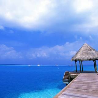 Beautiful Tropical Beach Wallpaper