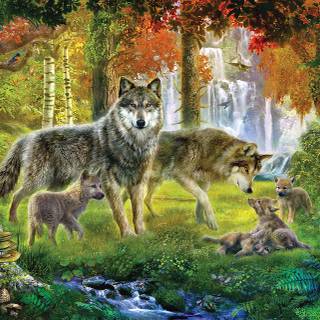Wolf family