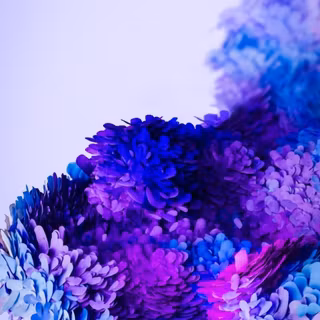 Samsung Galaxy S20 Purple wallpaper