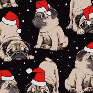 Christmas Pugs