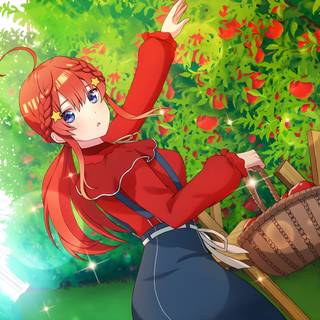 The Quintessential Quintuplets 