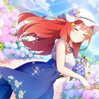 The Quintessential Quintuplets 