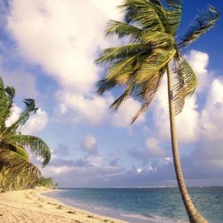 Beautiful Tropical Beach Wallpaper