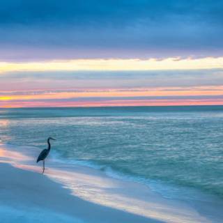 Beautiful Beach Wallpaper