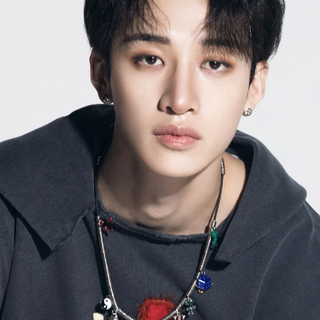 Happy birthday to Bang Chan in Stray Kids