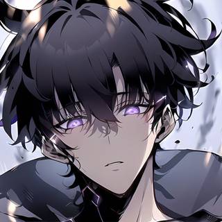 Sung Jin-Woo, Solo Leveling