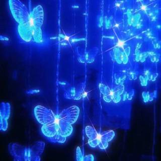 Blue butterflies