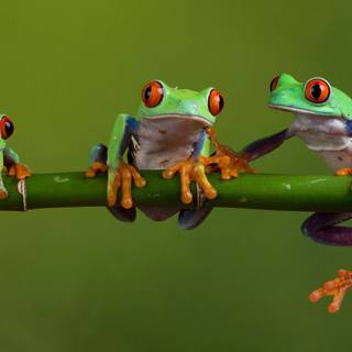 #SubtoEvanburgertime