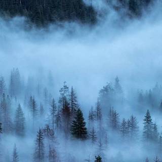 4k Iphone Nature Wallpaper