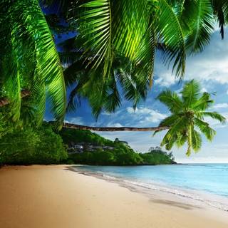 Beautiful 4k Tropical Beach Wallpaper