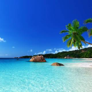Beautiful 4k Tropical Beach Wallpaper
