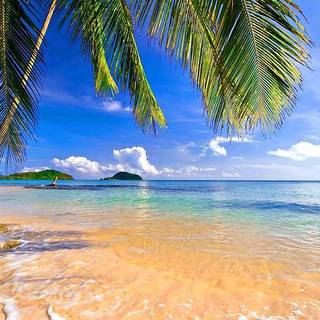 Beautiful 4k Tropical Beach Wallpaper