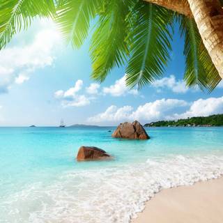 Beautiful 4k Tropical Beach Wallpaper