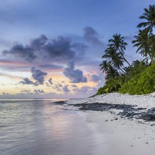 Beautiful 4k Tropical Beach Wallpaper