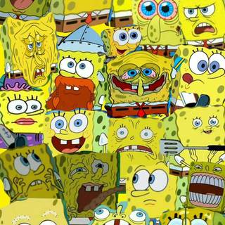 Spongebob Squarepants