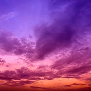 Purple sunset