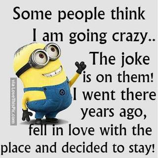 funny caption Minions