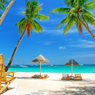 Beautiful 4k Tropical Beach Wallpaper