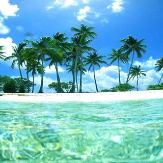 Beautiful 4k Tropical Beach Wallpaper