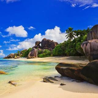 Beautiful 4k Tropical Beach Wallpaper