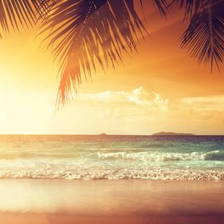 Beautiful 4k Tropical Beach Wallpaper