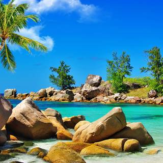 Beautiful 4k Tropical Beach Wallpaper