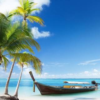 Beautiful 4k Tropical Beach Wallpaper