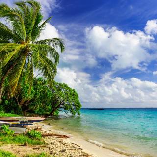 Beautiful 4k Tropical Beach Wallpaper