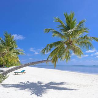 Beautiful 4k Tropical Beach Wallpaper