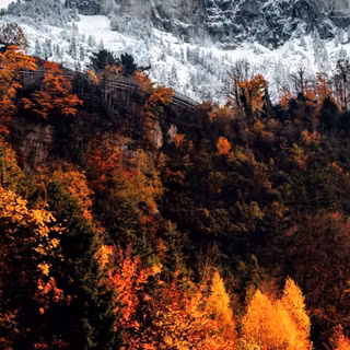 Snowy mountain with fall foliage
