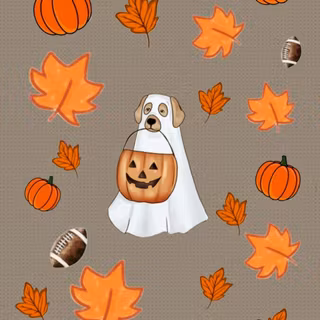Football and Trick or treat dog