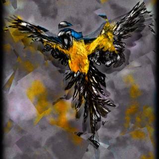 Samsung S24 Ultra Wallpaper Papagei A