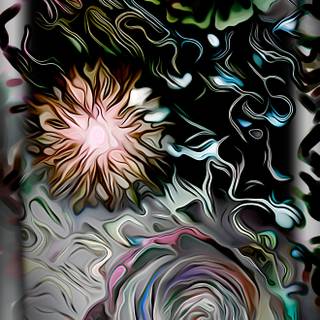 iphone 16 Pro Max Wallpaper Dark Flowers B