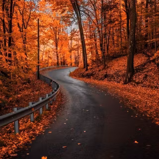 Autum road