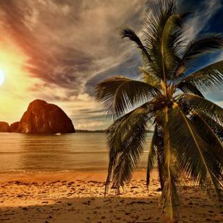 Beautiful 4k Tropical Beach Wallpaper